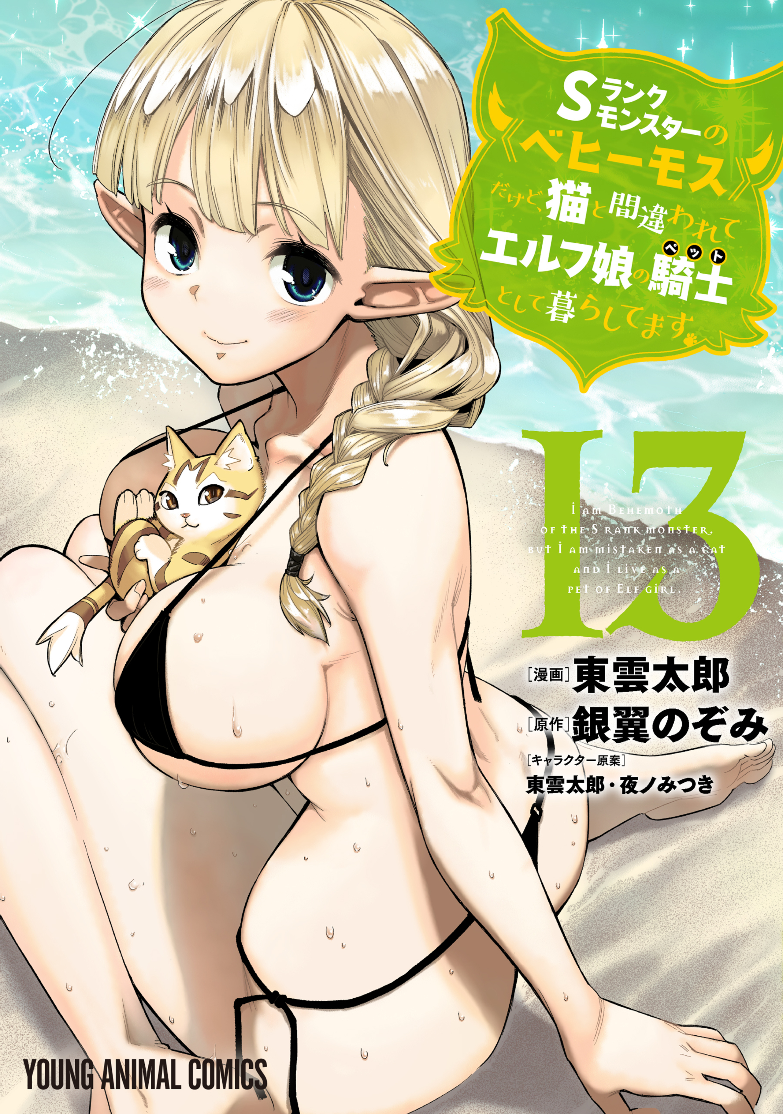 Sランクモンスターの《ベヒーモス》だけど、猫と間違われてエルフ娘の騎士として暮らしてます 第13巻
