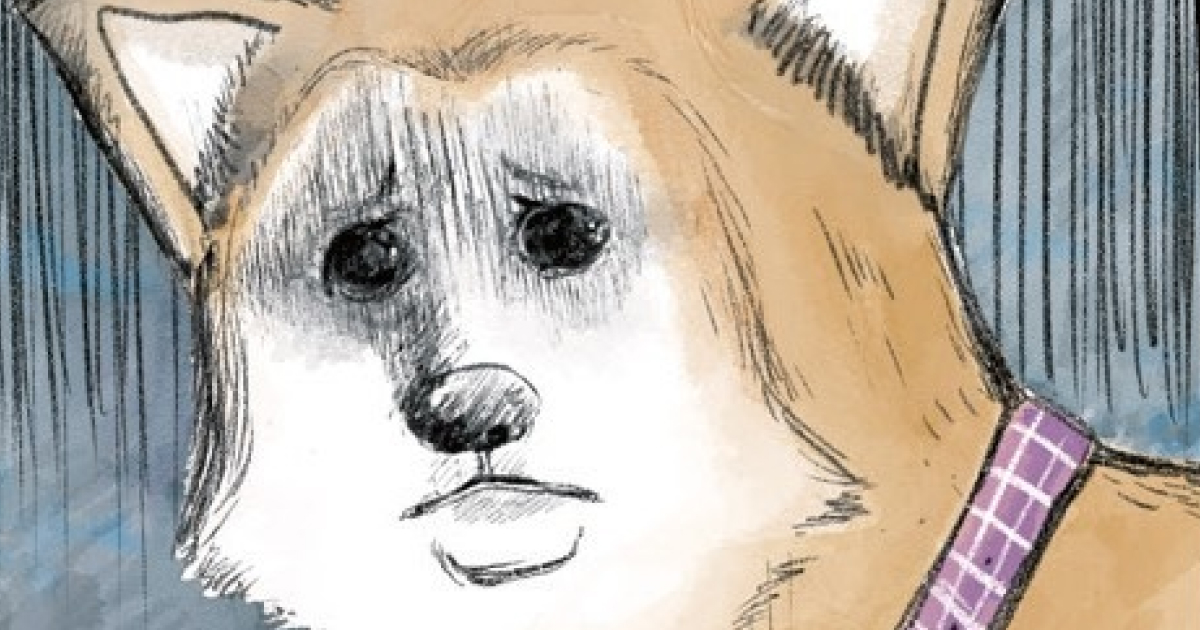 vol.1～4 真逆の二匹／人気者と臆病者／飼いたい子供 その１／飼いたい子供 その２