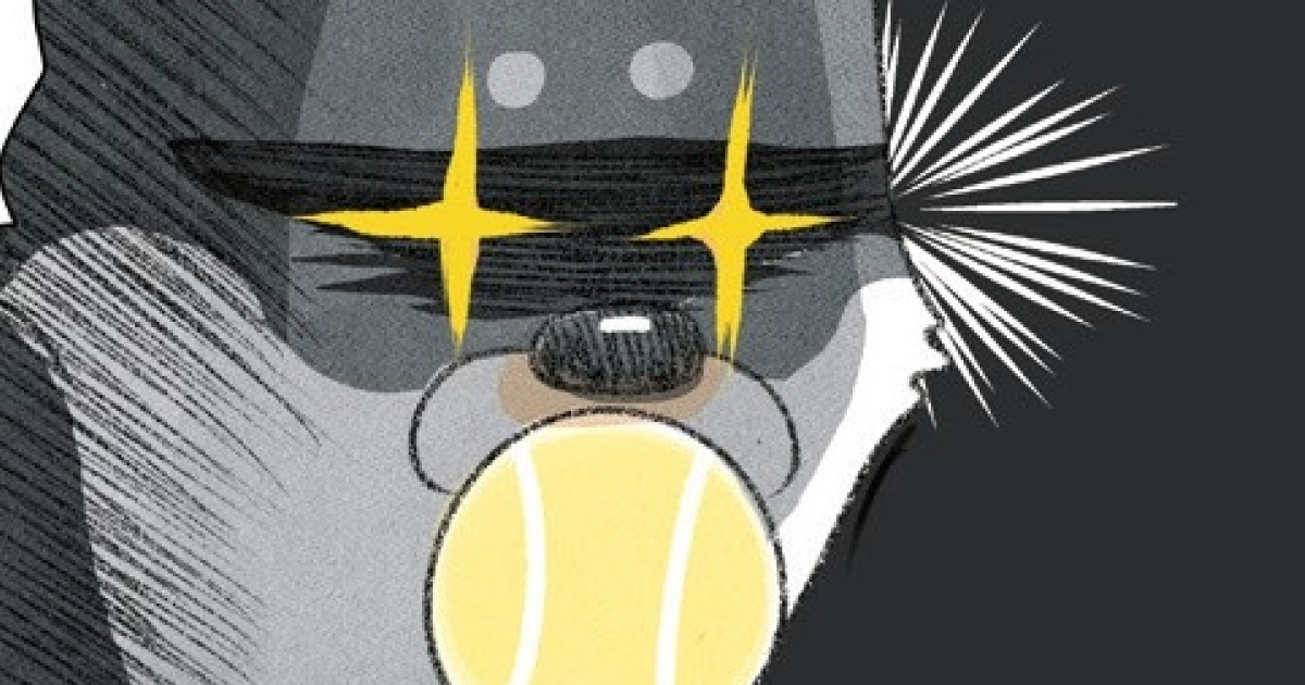 vol.13～16 球に恋して／台風散歩／霊犬／でっかくなっちゃった