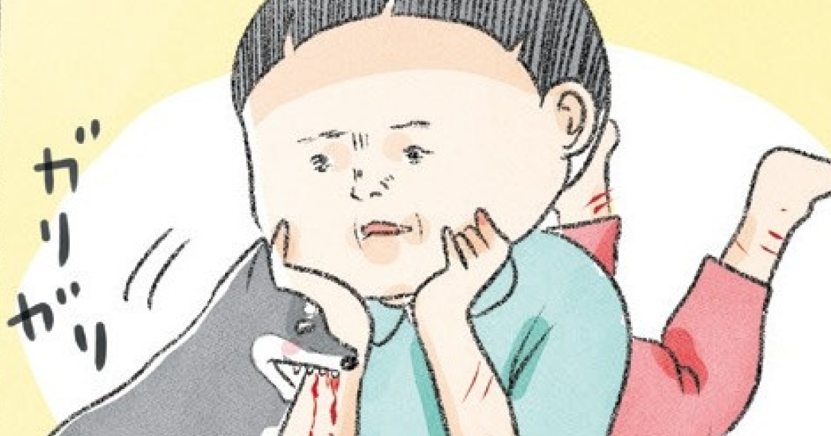 vol.17～20 封筒の上の奇跡／犬の学校 その１／犬の学校 その２／犬の学校 その３