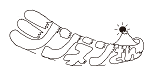 第62話・シンネンさん