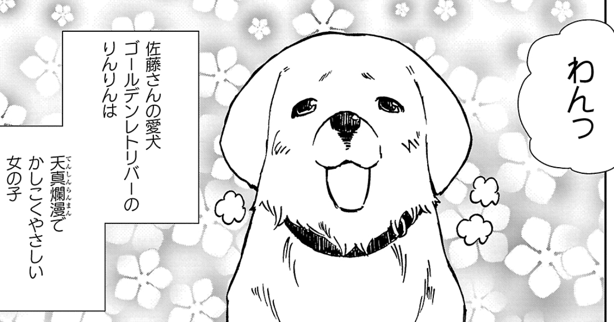 第2話　りんりんとしゃもんのこと