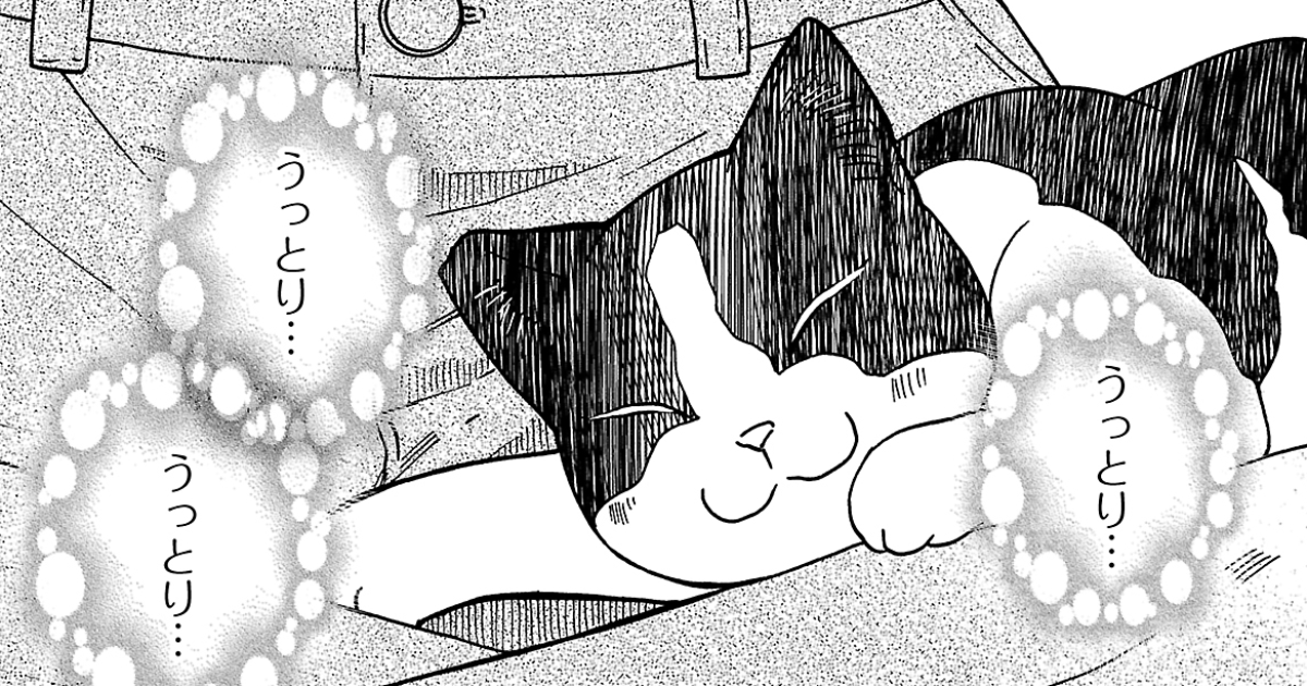 第5話　コロンとゆき　みんみんとドロのこと