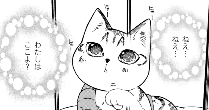 ペットの声が聞こえたら・第10話 小夏のこと | アサコミ