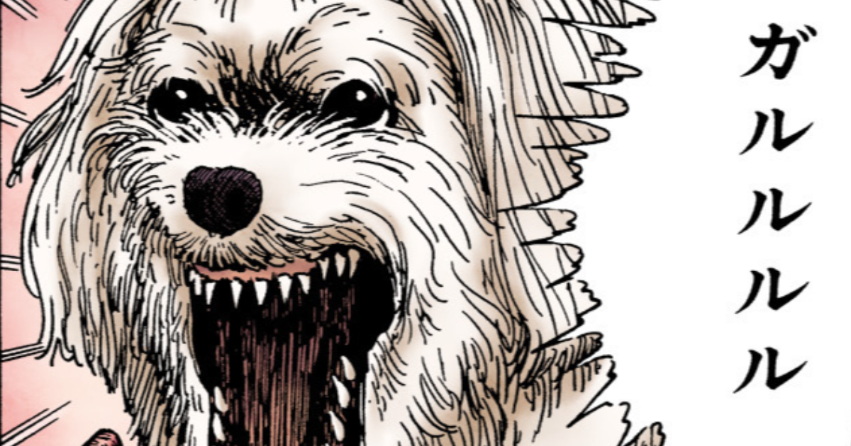 ノンノン親分・ノンノン親分のかくれんぼ