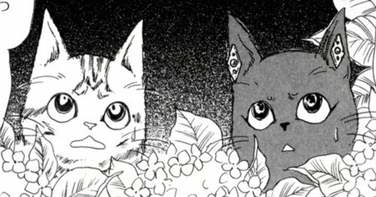 自鳴琴の止まる夜-①