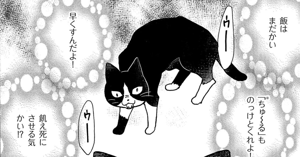 第20話　あかりのこと