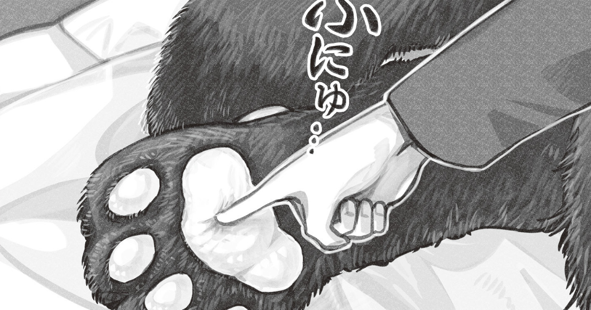 訪問者・前足・真夏の夜の①・同僚の憂鬱・交流