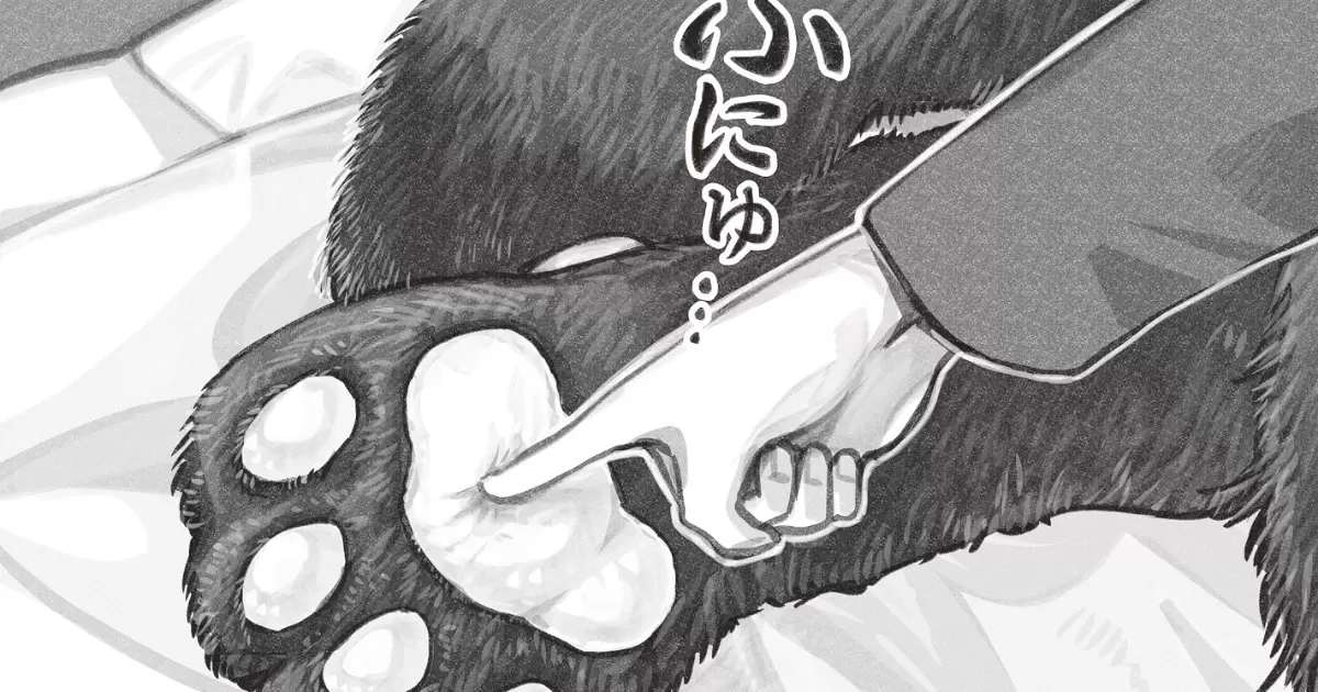 猫を拾った話。 - 寺田亜太朗,本多八十二 | アサコミ