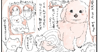 自己紹介-犬とバアちゃん