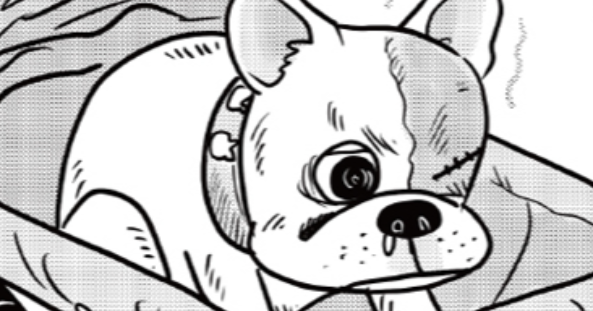 第4話 片目くん初めての散歩