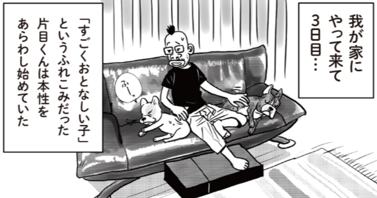 第5話　チェリーボンブ!!