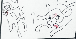 実家の犬①