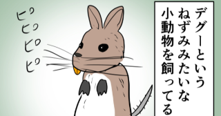 第11話　にぼし初登場！