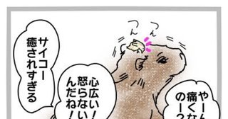 居酒屋zoo1ページ漫画
