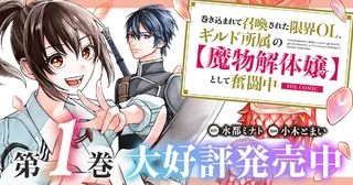 巻き込まれて召喚された限界OL、ギルド所属の【魔物解体嬢】として奮闘中 THE COMICの画像