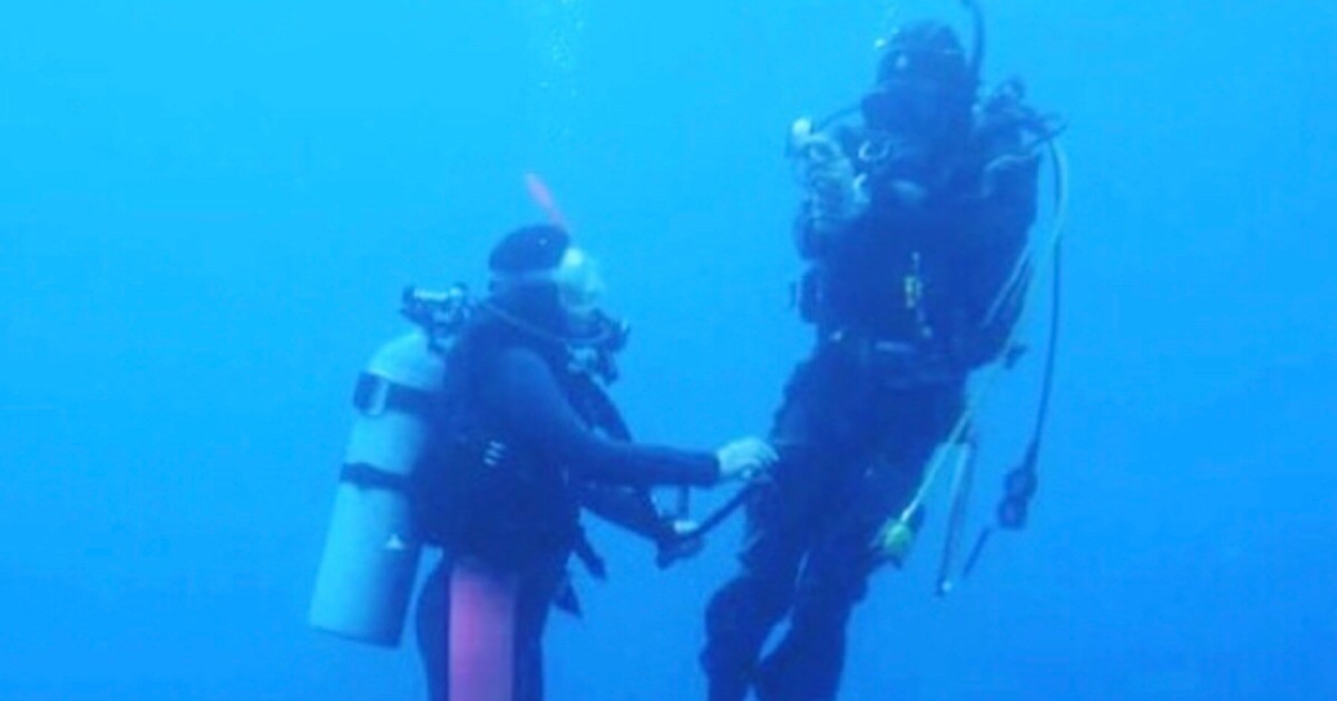 日記保管箱 ダイビング日記 By 漫画家 猫田まんじまるの作品 Webマンガのコミチは無料で読み放題 縦スク 縦読み 推し