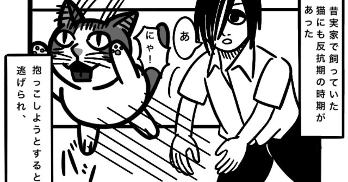 猫の反抗期 by 漫画家・此方の作品  WEBマンガのコミチは無料で読み 