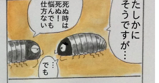 『ころころダンゴ先輩』161〜165話