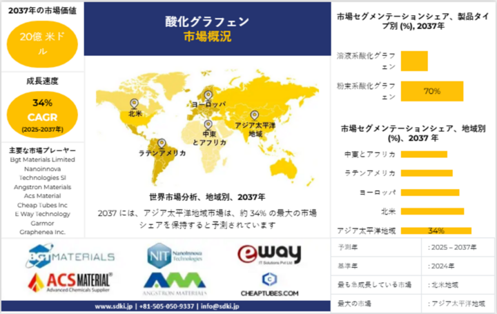 世界の酸化グラフェン産業調査、洞察、サイズ、シェア、需要、トップメーカー、成長、動向レポート、市場概観、2025-2037年予測