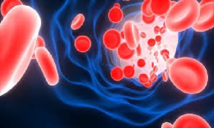 世界の幹細胞治療産業の規模調査、成長、機会、シェア、動向、洞察分析、2025-2037年予測