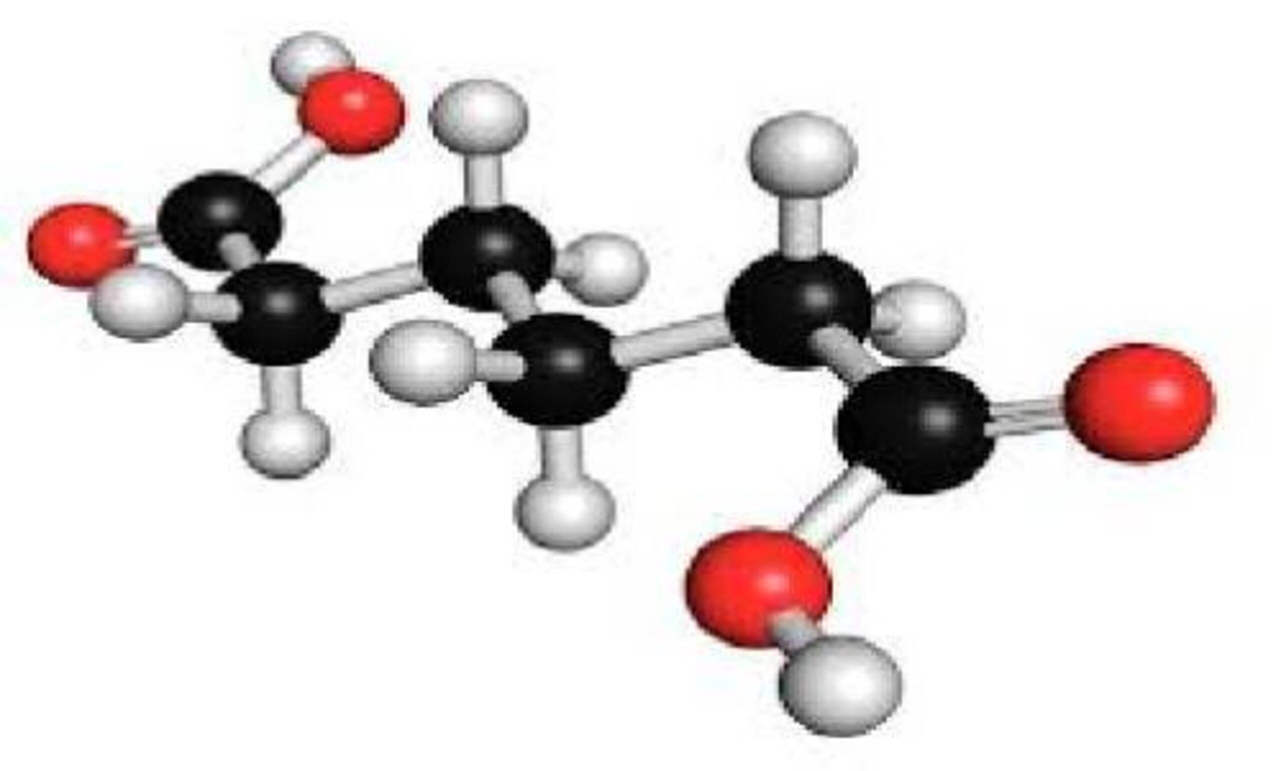 世界のアジピン酸産業調査、規模、成長、トレンドレポート、シェア、トップメーカー、洞察分析、2025-2037年予測