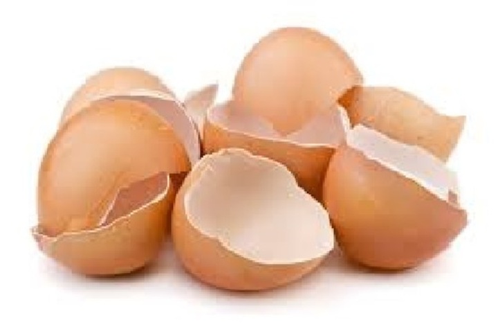 世界の卵殻膜産業調査、サイズ、成長、トレンドレポート、シェア、トップメーカー、洞察分析、2025-2037年予測