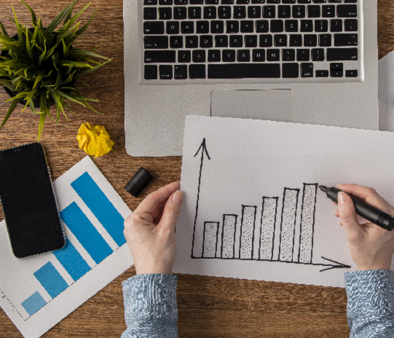 日本の急成長セクター 2024年