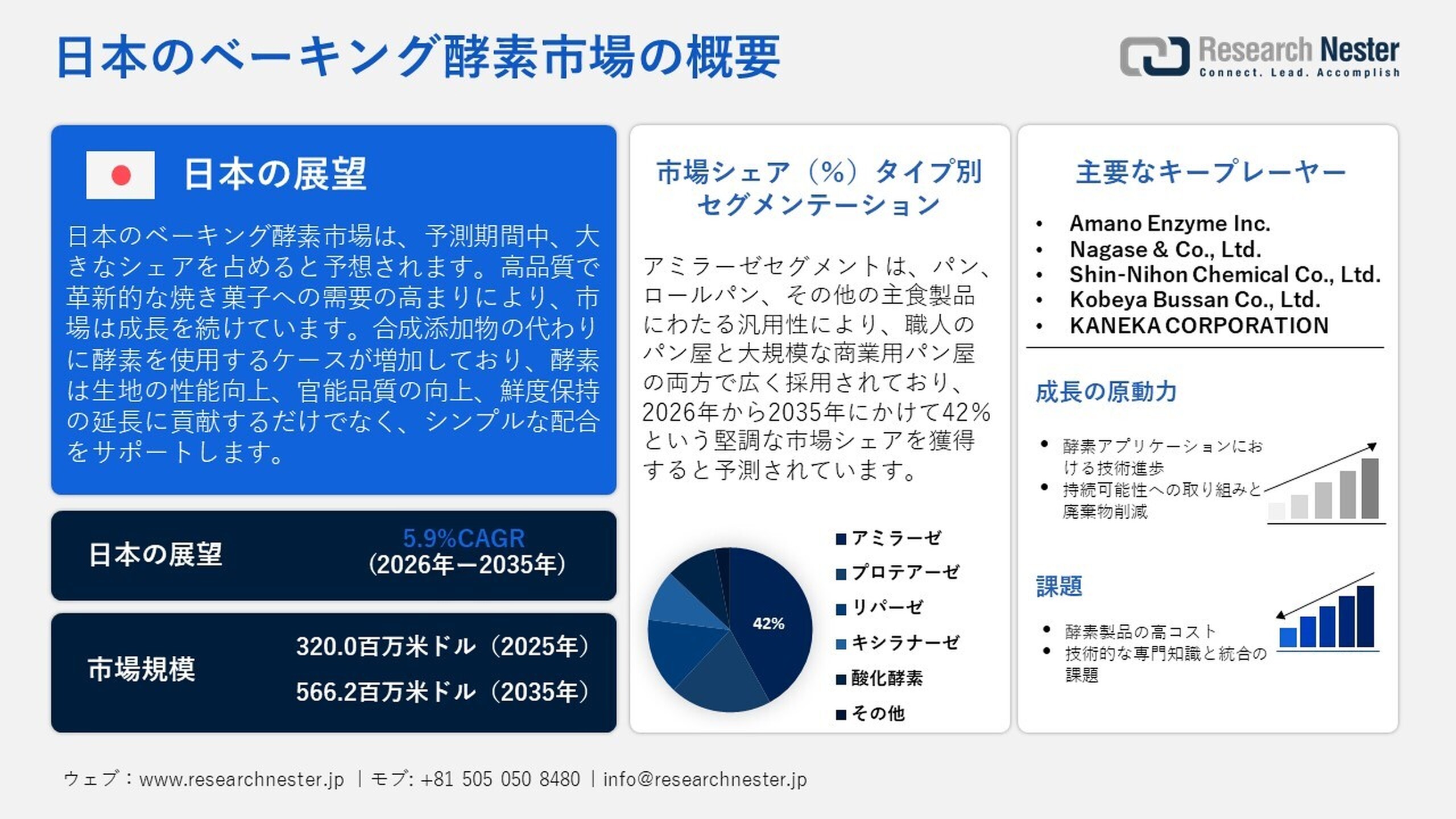 ベーキング酵素市場2026～2035年：業界分析、市場規模、シェア、成長、動向、および予測