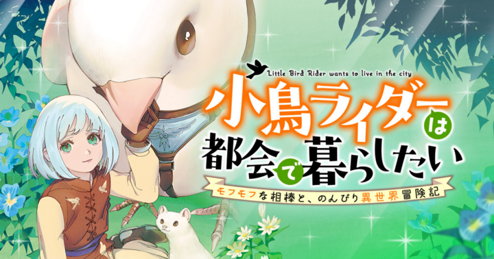 小鳥ライダーは都会で暮らしたい モフモフな相棒と、のんびり異世界冒険記