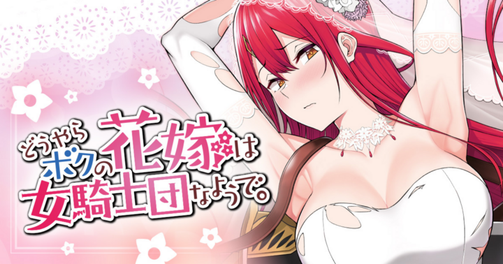 どうやらボクの花嫁は女騎士団なようで。