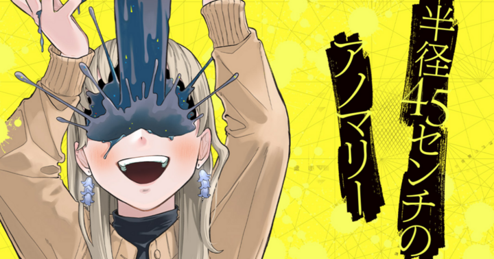 半径45センチのアノマリー