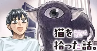 猫を拾った話。