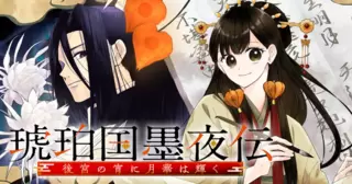 琥珀国墨夜伝 〜後宮の宵に月華は輝く〜