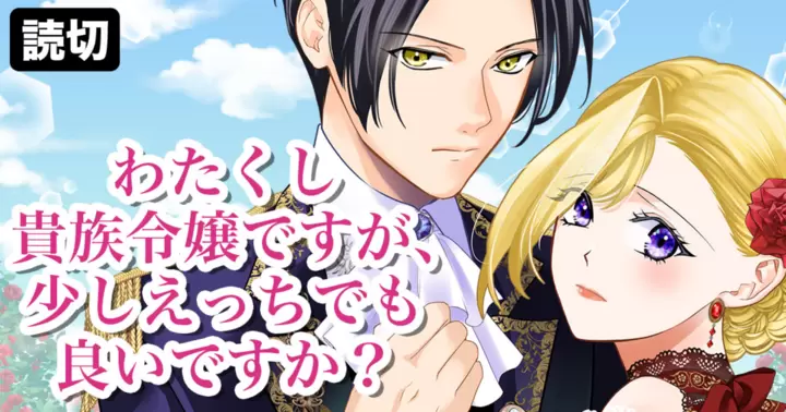 わたくし貴族令嬢ですが、少しえっちでも良いですか？