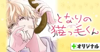 となりの猫っ毛くん