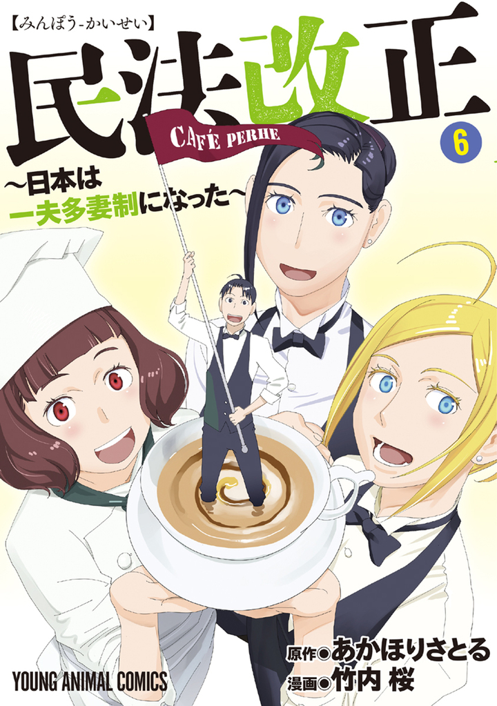 民法改正〜日本は一夫多妻制になった〜 6