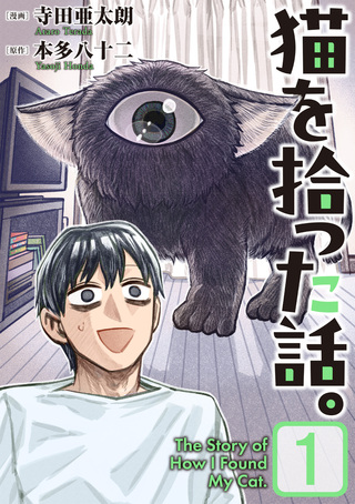 猫を拾った話。