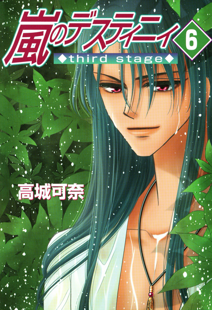 嵐のデスティニィ third stage　6