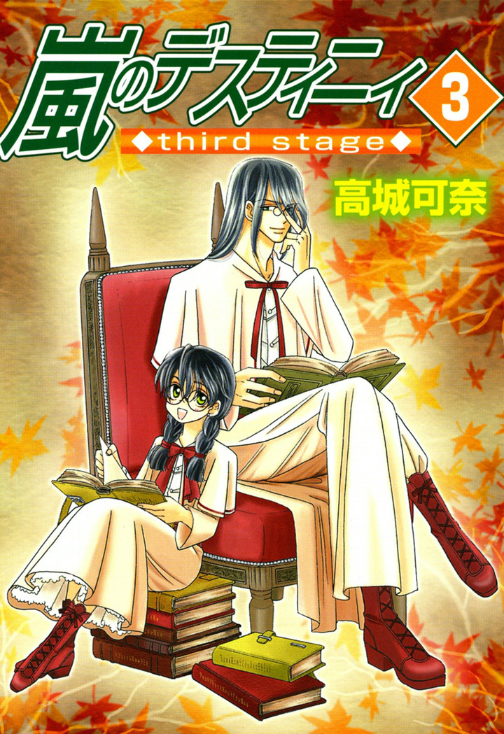 嵐のデスティニィ third stage　3