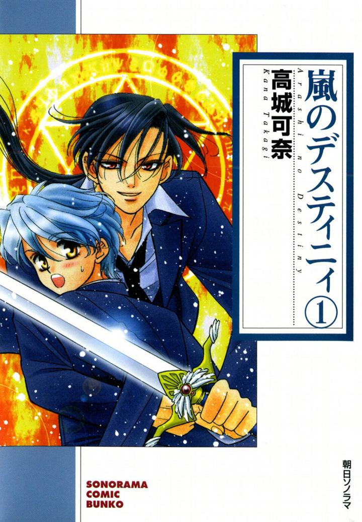 嵐のデスティニィ　1