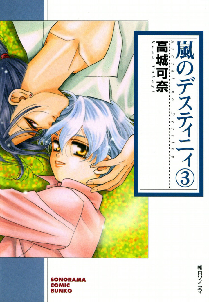 嵐のデスティニィ　3