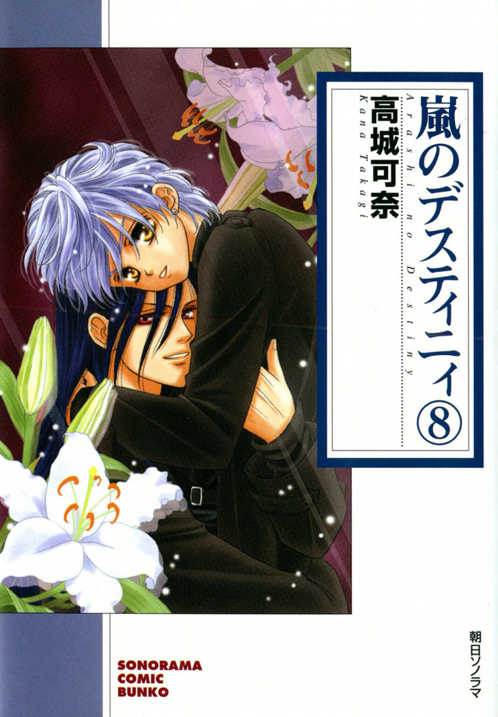 嵐のデスティニィ　8