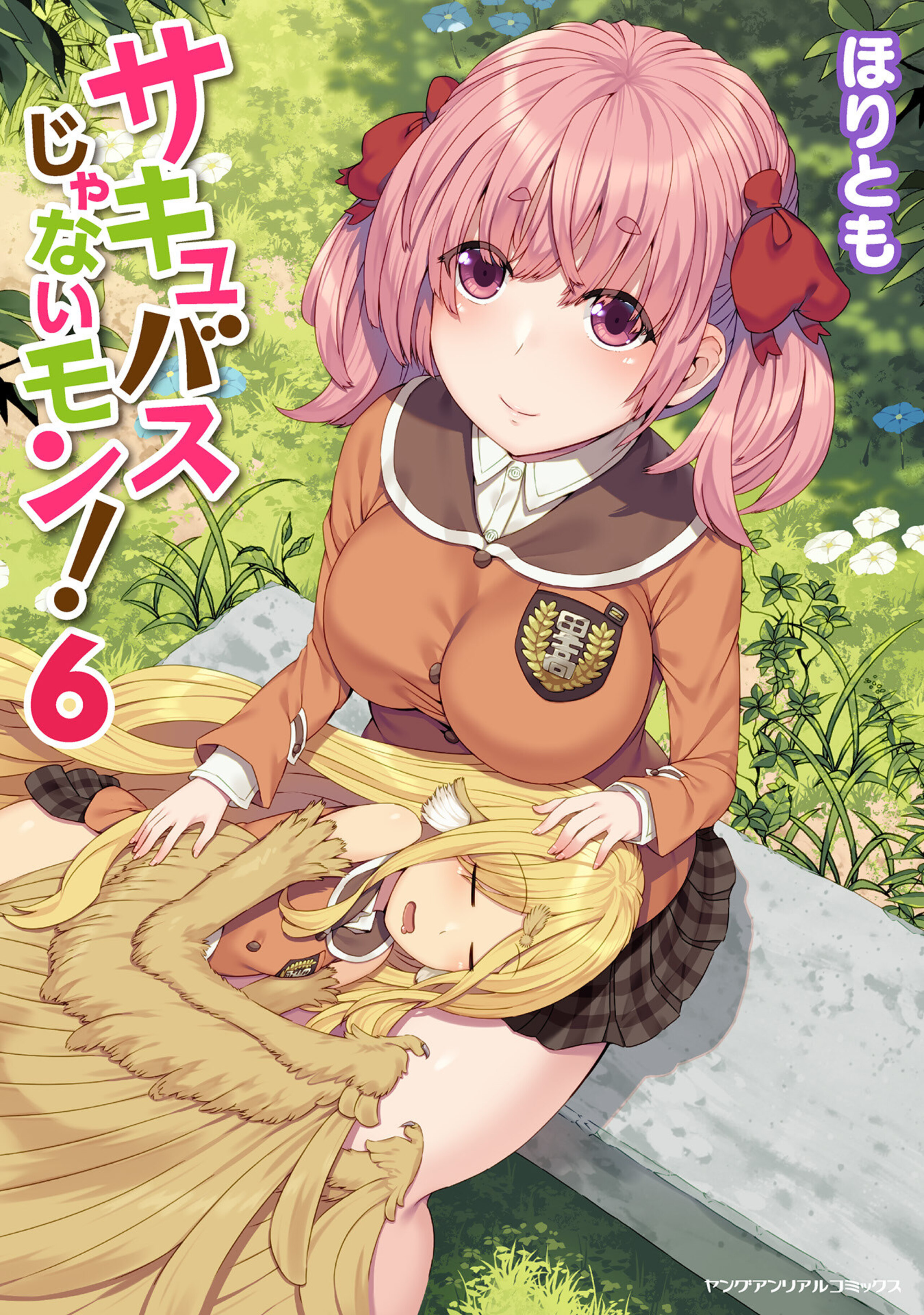 サキュバスじゃないモン！6-6686036