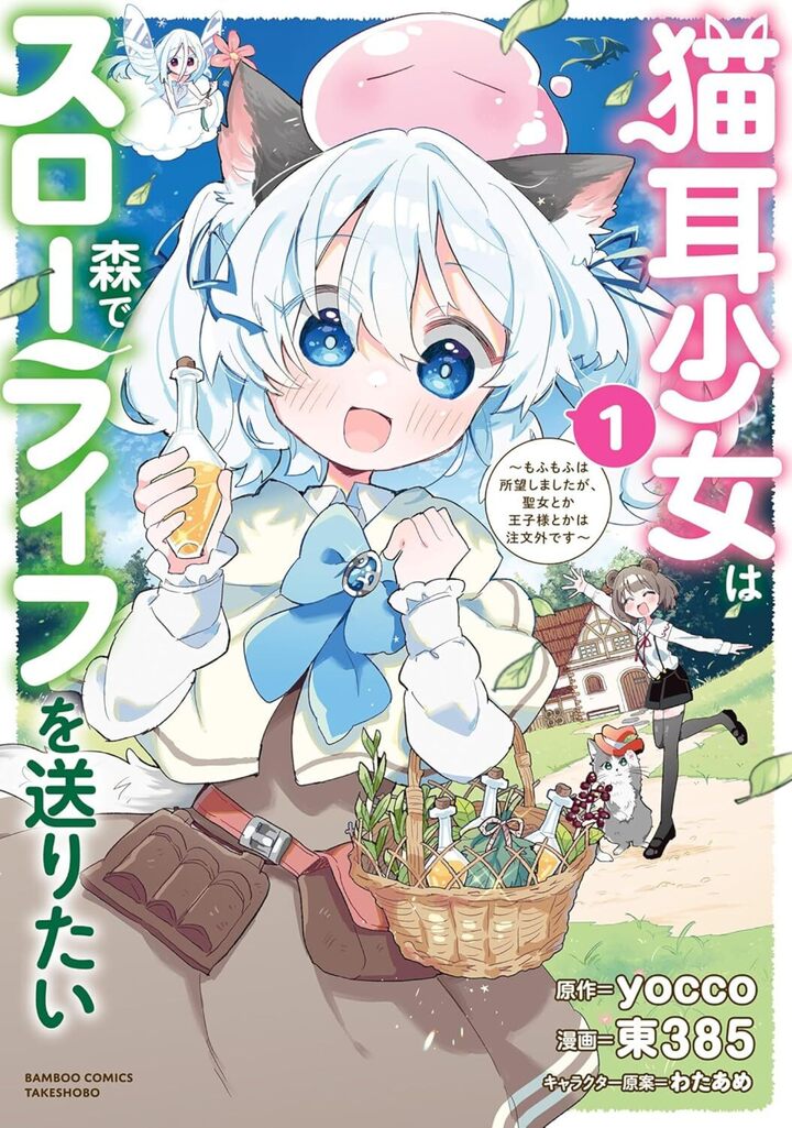 猫耳少女は森でスローライフを送りたい ～もふもふは所望しましたが、聖女とか王子様とかは注文外です～1