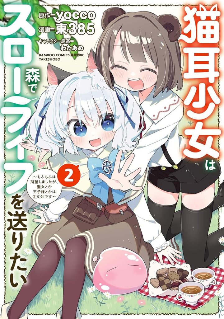 猫耳少女は森でスローライフを送りたい ～もふもふは所望しましたが、聖女とか王子様とかは注文外です～2