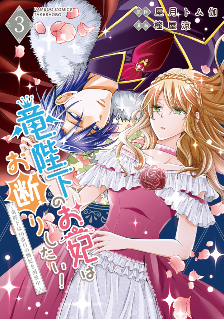 竜陛下のお妃はお断りしたい！～竜陛下は10番目の側妃を溺愛中～3