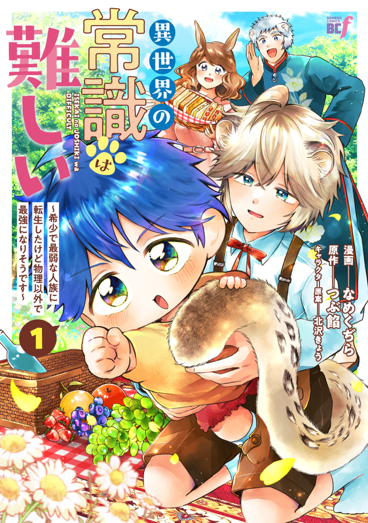 異世界の常識は難しい～希少で最弱な人族に転生したけど物理以外で最強になりそうです～1