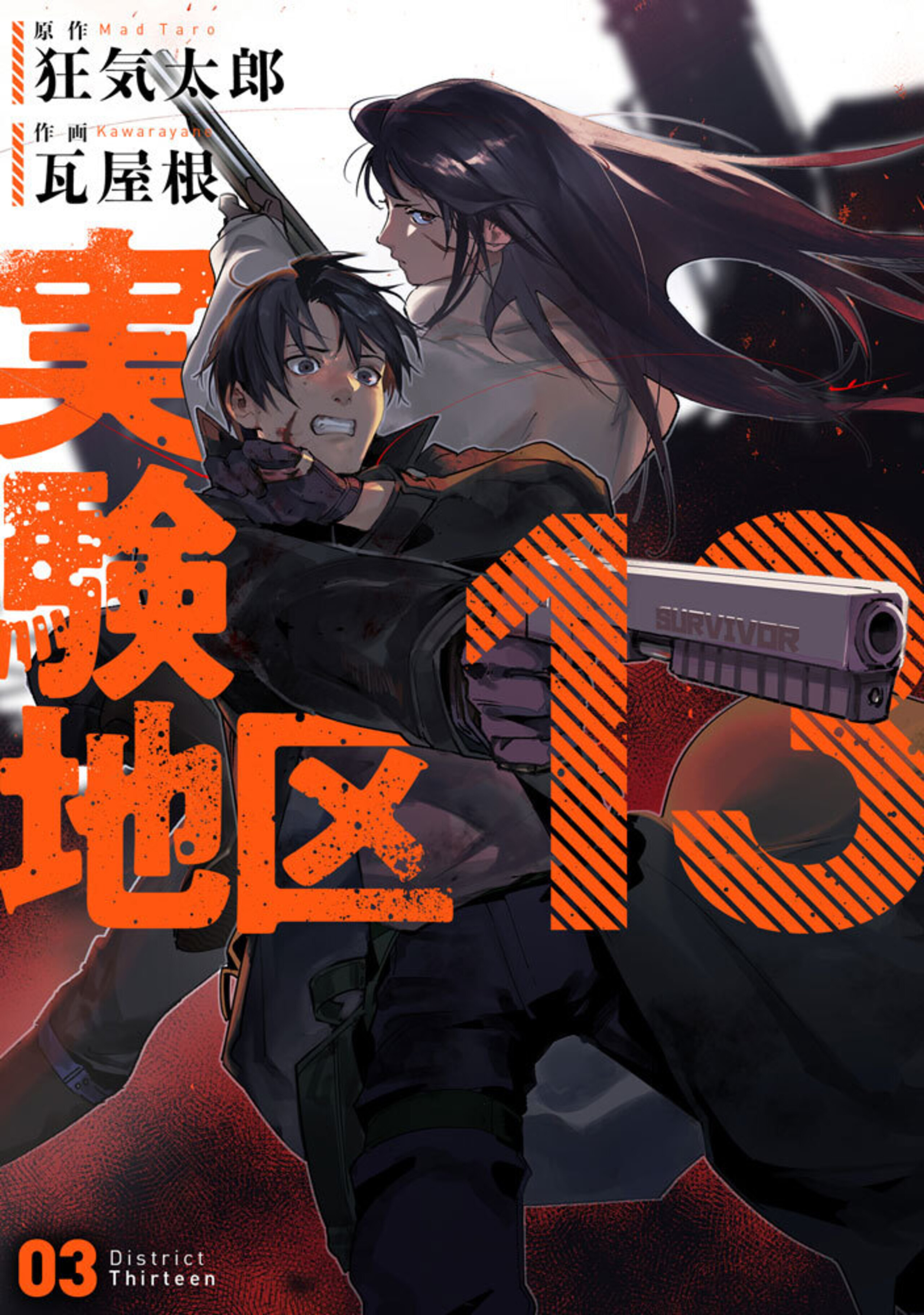 実験地区13(3)-9812862