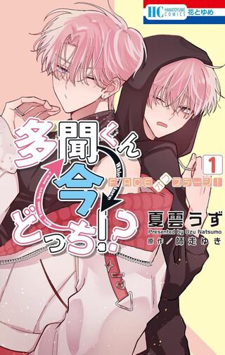 多聞くん今どっち！？ まとめ売り 多聞くん今どっち!? F/ACEオフステージ！ - 夏雲うず,師走ゆき | 花と